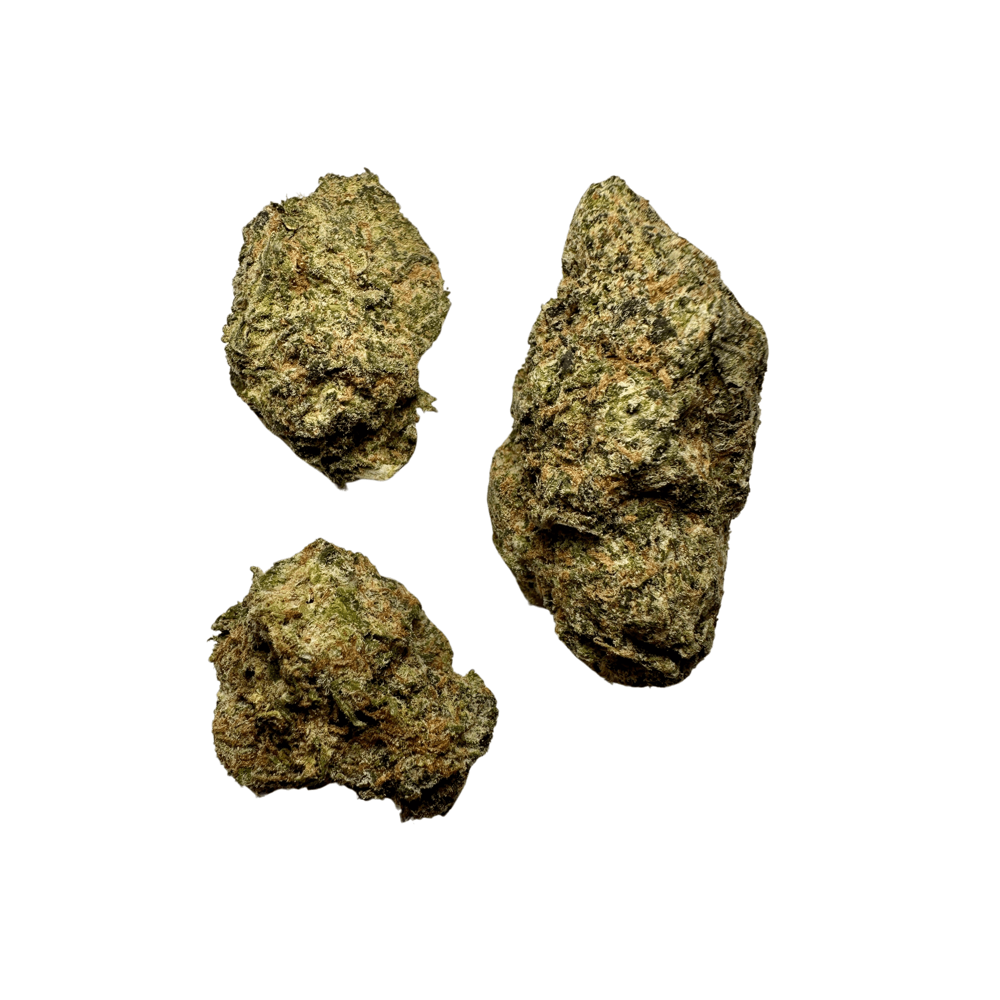 IMG_1123-min-1 Gelato 33