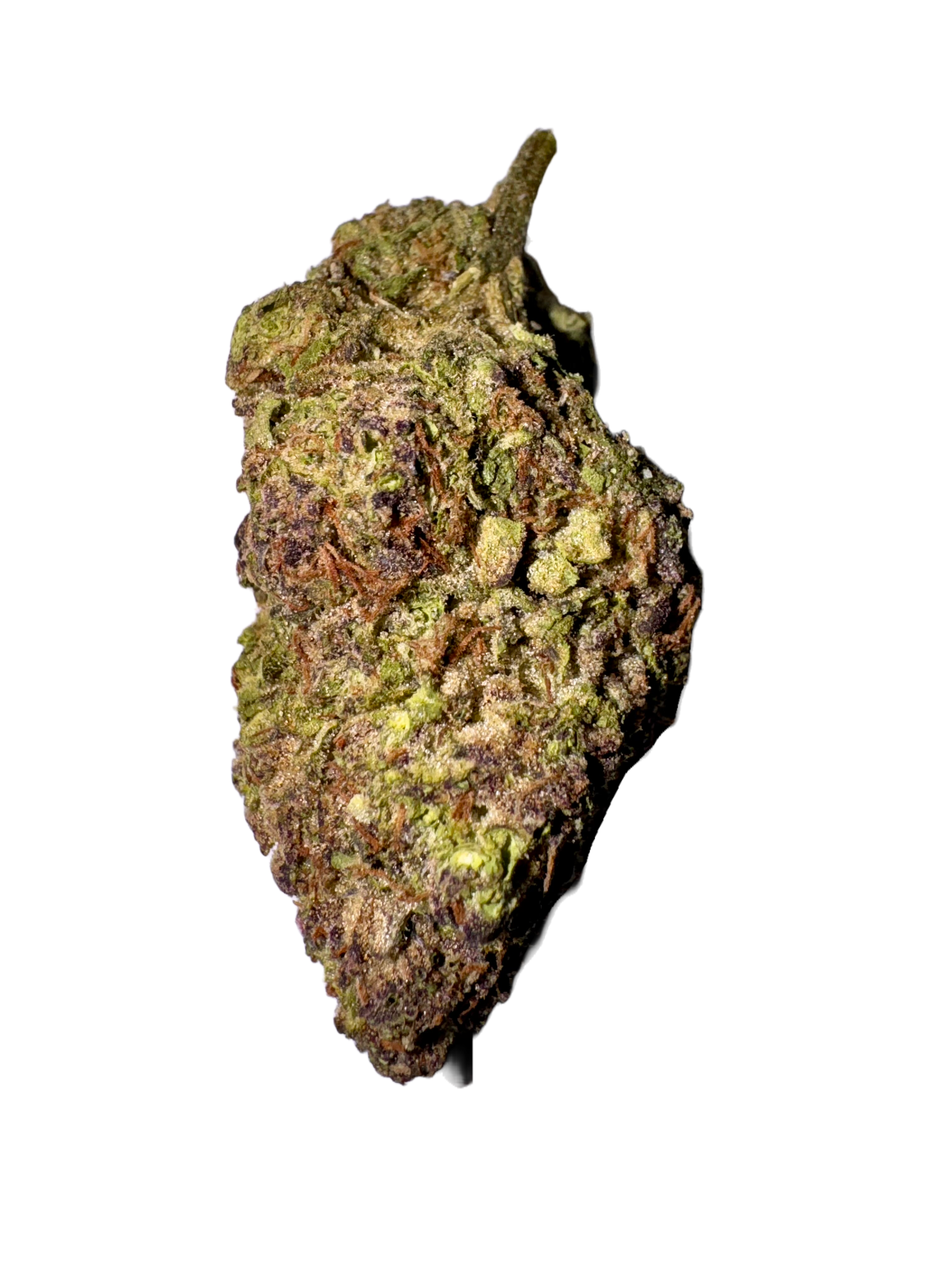 Gush-Mintz- hawaiian rain strain