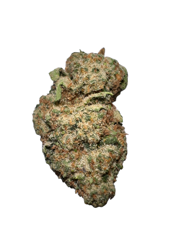 Z-Tree-600x800 z tree strain