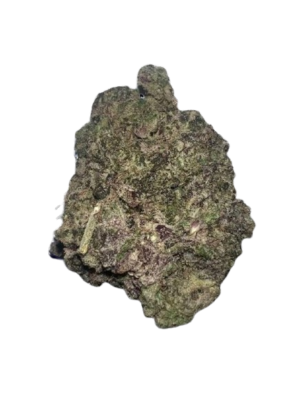 zushi strain