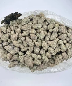 Alien Kush