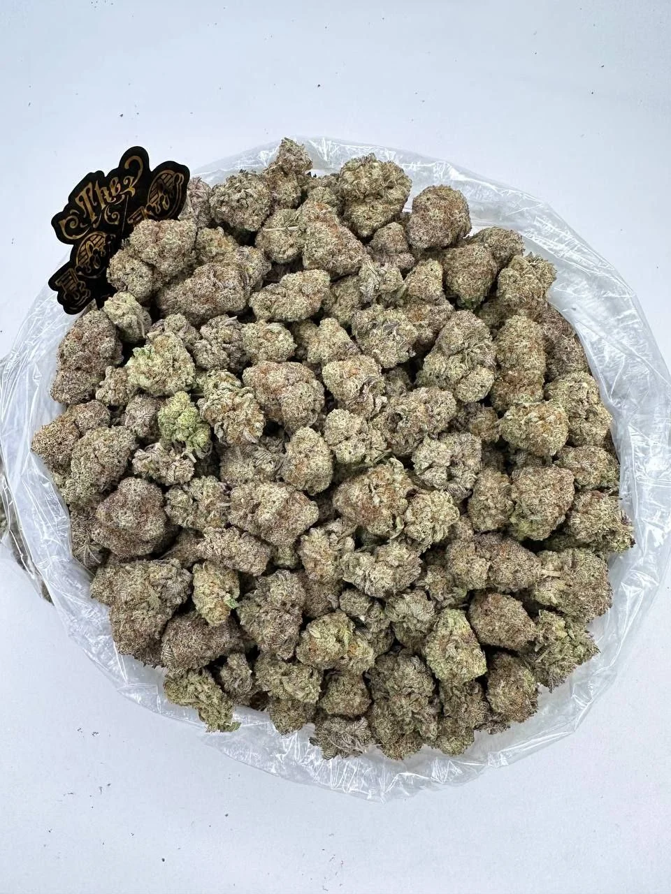 jck Jungle Cake Strain
