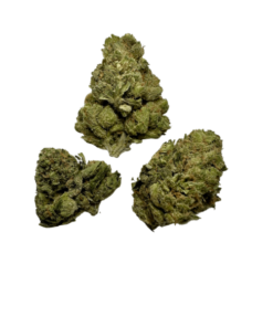 blue cheese strain