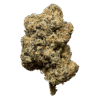 Lemon Cherry Gelato