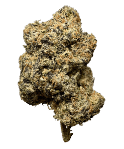 Lemon Cherry Gelato