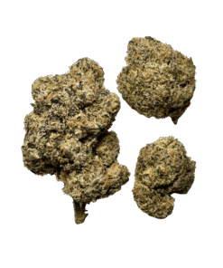 Lemon Cherry Gelato