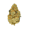 Stardawg