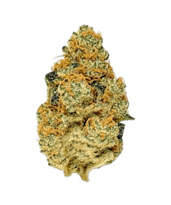 Stardawg