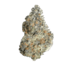 Northern Lights