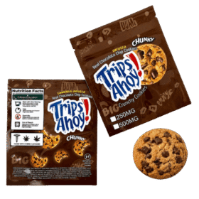 Chocolate Cookie