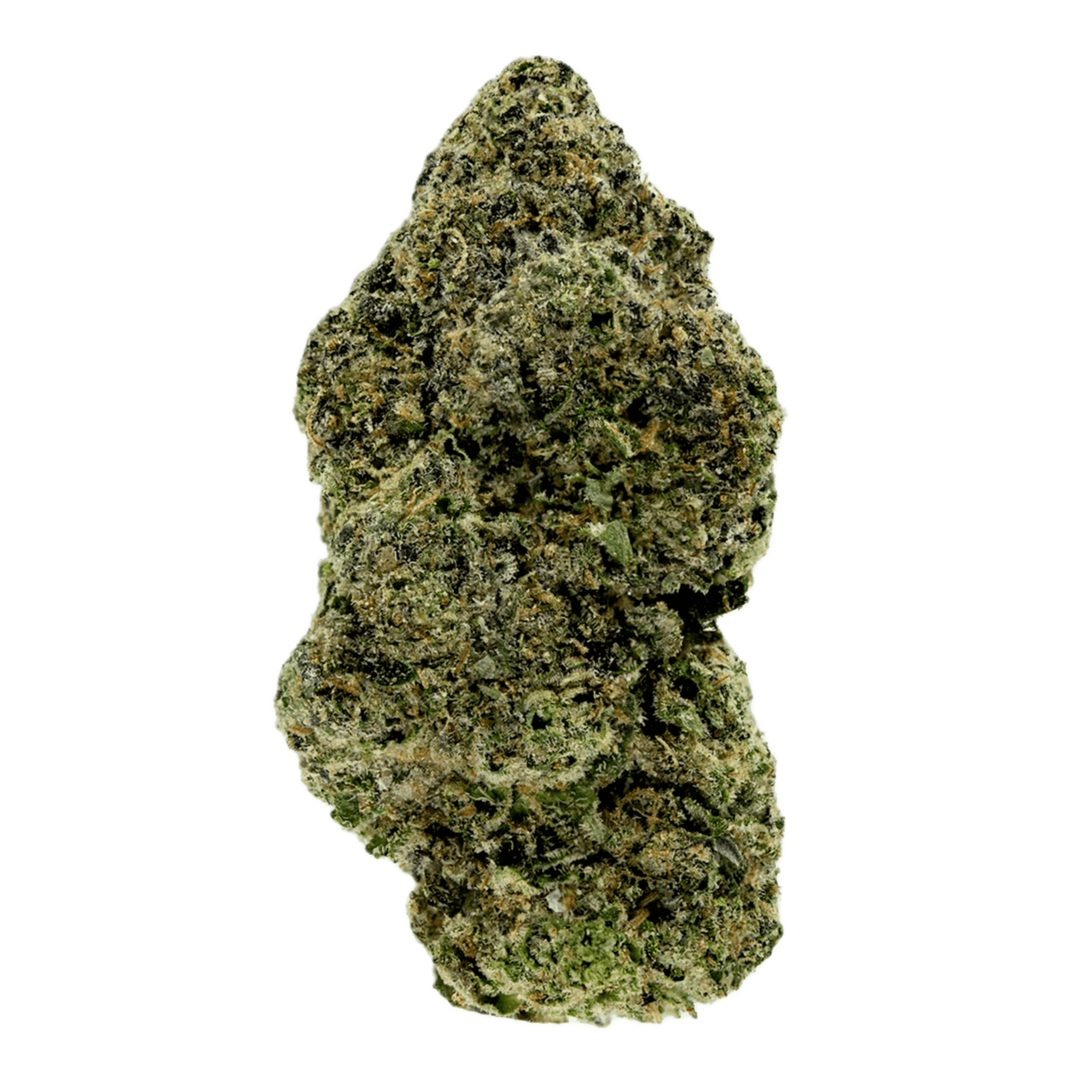 Skywalker Skywalker